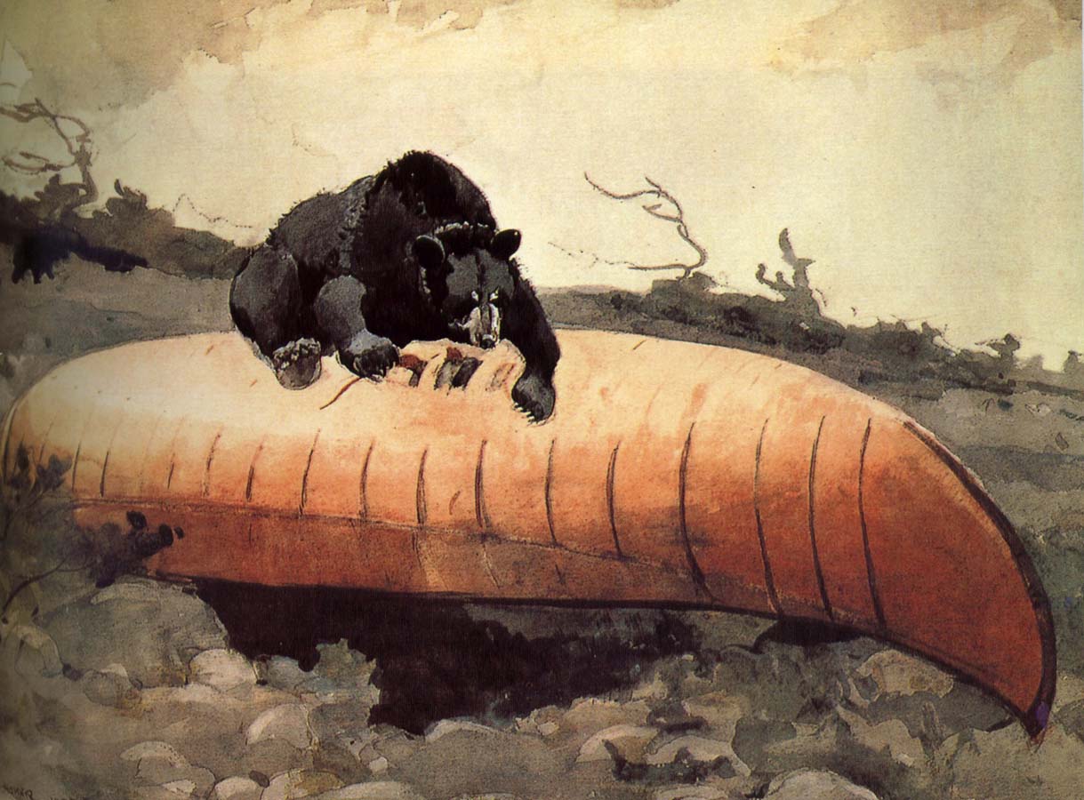 Black Bear and Canoe